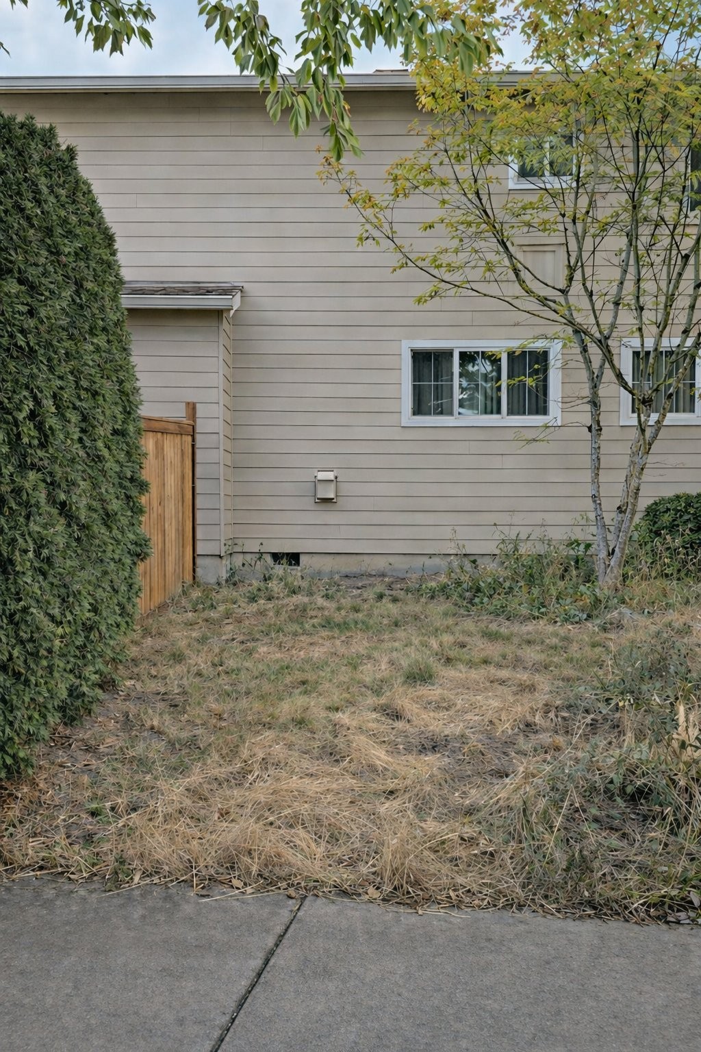 Before — Bruno Project